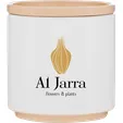 Blume 22 oz Ceramic Planter