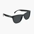 Nectar Sunnies Chucktown Sunglasses