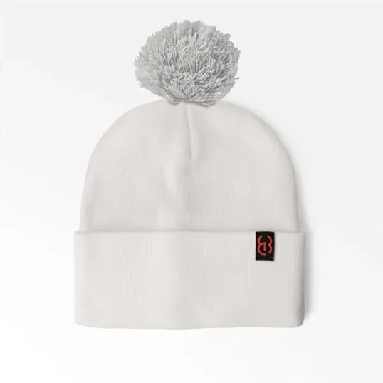 Cuffed Pom Beanie With Sewn-On Embroidered Tag — view 11