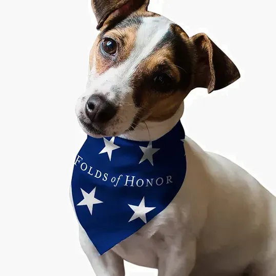 Bandoggies® Small Pet Bandana Breeze