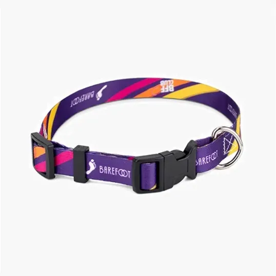 Bandoggies® 3/4" Full Color Dog Collar
