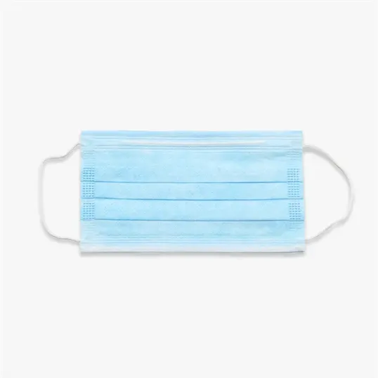 CPP Disposable 3-Ply Ear Loop Face Mask