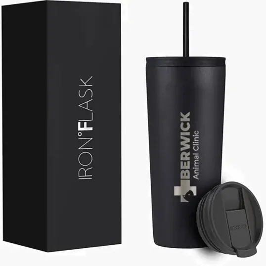 Iron Flask Classic Tumbler 2.0, 24 oz