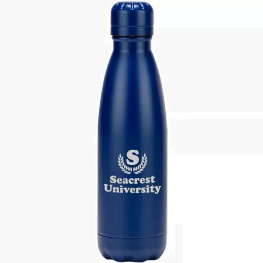 Voyager Stainless Steel Bottle, 17 oz
