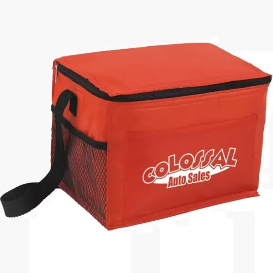 Budget Cooler Bag