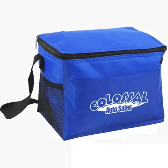 Budget Cooler Bag — view 5