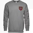 Crewneck Sweatshirt with Embroidery