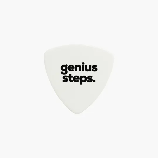 Guitar Pick — view 2
