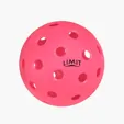 Outdoor Pickleball