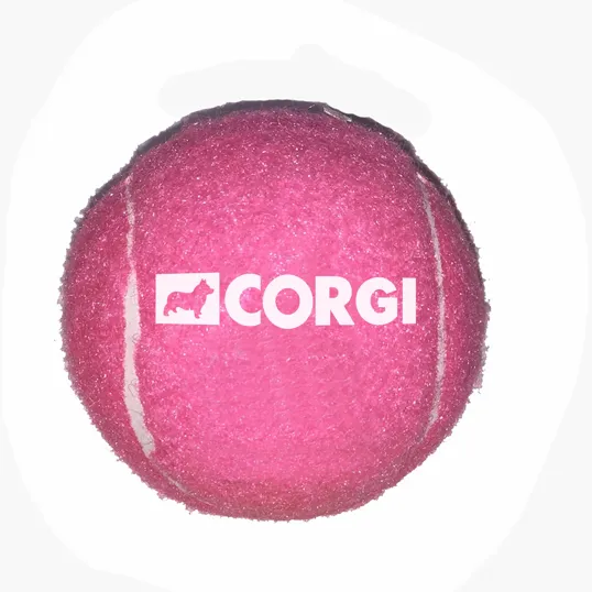 Toy Tennis Balls for Pets