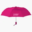 42" Arc Automatic Umbrella — view 2