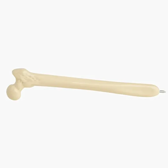 Image for Femur Bone Pen