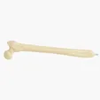 Image for Femur Bone Pen-2