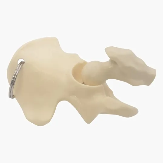 Hip Bone Keyring