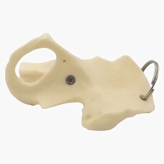 Hip Bone Keyring — view 2