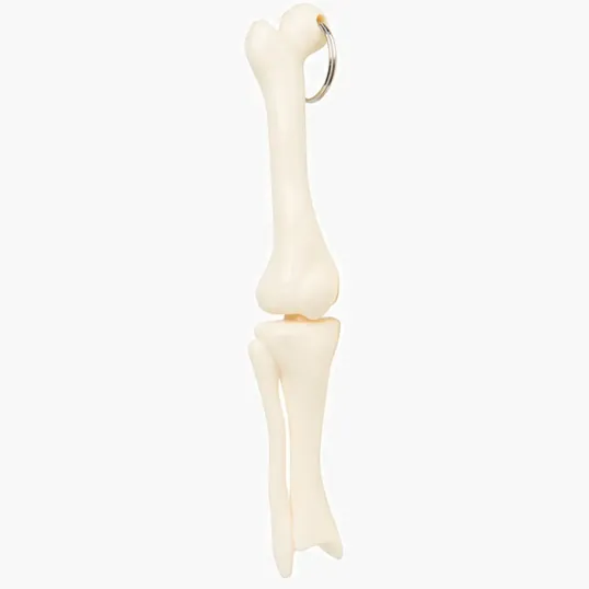 Knee Joint Bone Keyring