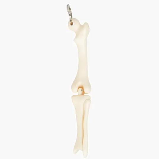 Knee Joint Bone Keyring — view 2