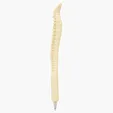 Spine Bone Pen — view 2