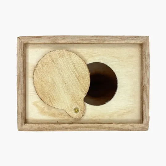 Wood Coin Bank — view 6