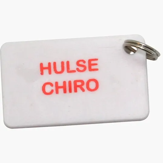 Rectangle Plastic Key Tag with Key Ring