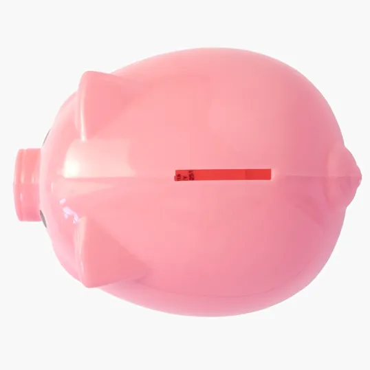 Pig Coin Bank — view 6
