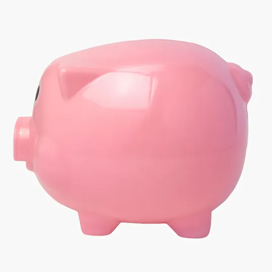 Pig Coin Bank — view 5