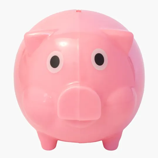 Pig Coin Bank — view 3