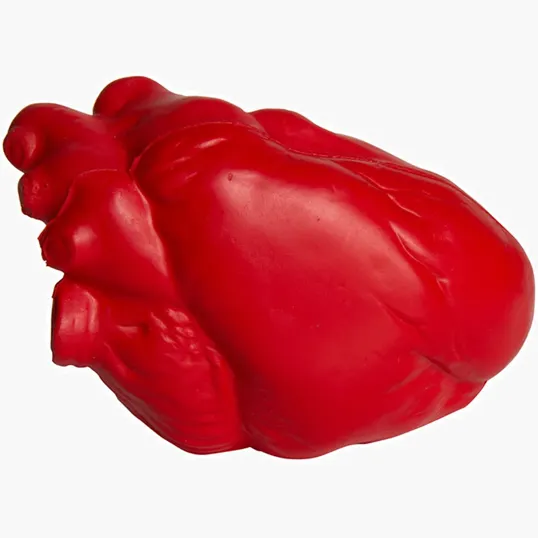 Anatomic Heart Stress Reliever — view 2