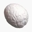 Brain Stress Reliever — view 16