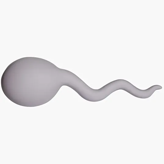 Sperm Stress Reliever — view 4