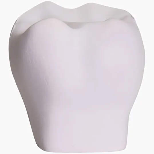 Tooth Stress Reliever — view 2