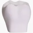Tooth Stress Reliever — view 2