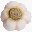 Garlic Clove Stress Reliever — view 7