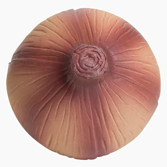 Onion Stress Reliever — view 7