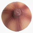 Onion Stress Reliever — view 7