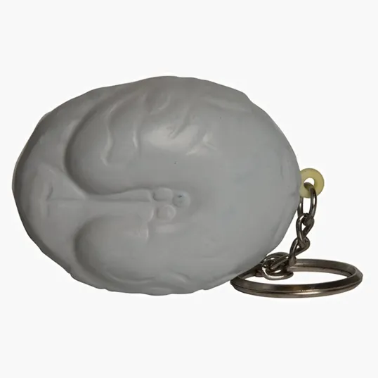 Brain Keyring Stress Reliever — view 4