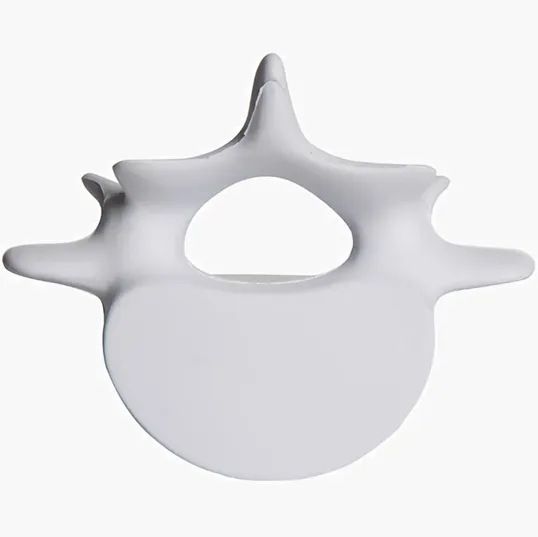 Vertebrae Stress Reliever — view 6