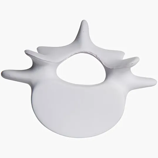 Vertebrae Stress Reliever — view 7