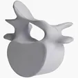 Vertebrae Stress Reliever — view 2