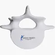 Vertebrae Stress Reliever