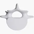 Vertebrae Stress Reliever — view 6