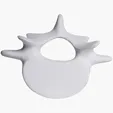 Vertebrae Stress Reliever — view 7
