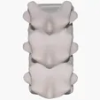 Spine Stress Reliever — view 3