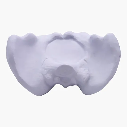 Hip Bone Stress Reliever — view 2