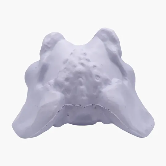 Hip Bone Stress Reliever — view 3