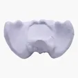 Hip Bone Stress Reliever — view 2