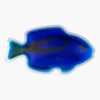 Tropical Blue Tang Fish Chill Patch — view 2