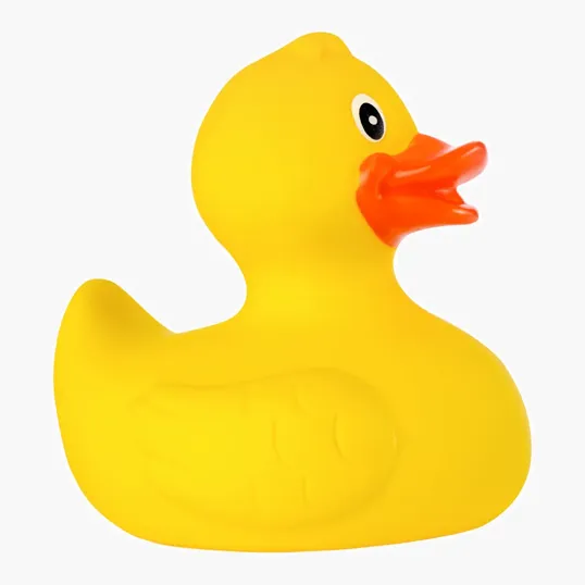 Classic Rubber Duck — view 33