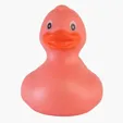 Classic Rubber Duck — view 7