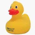 Classic Rubber Duck — view 25